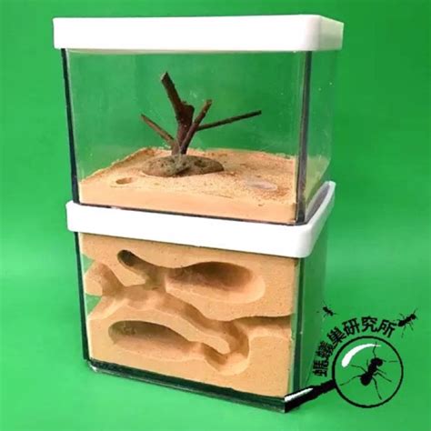 螞蟻巢研究所